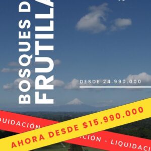 Bosques de Frutillar